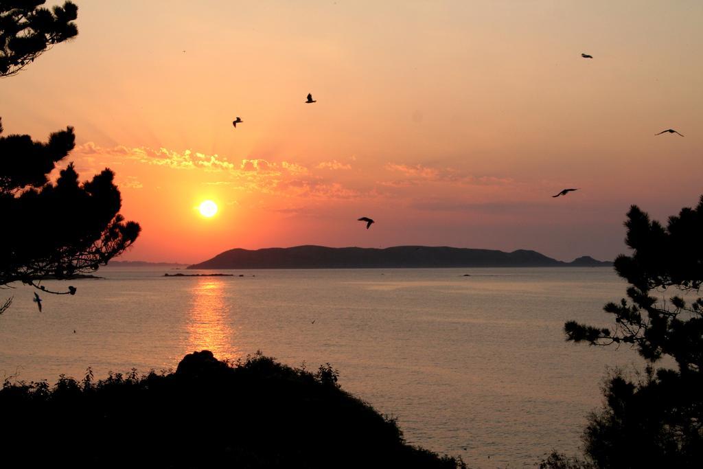 Les Terrasses De La Plage De Trestel Trévou-Tréguignec Dış mekan fotoğraf